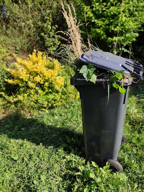 A black wheeled rubbish bin filled with garden waste, including dried grasses, green leaves, and small branches, is placed outdoors on a grassy area next to a garden hedge with yellow and green foliage. The lid of the bin is slightly open, revealing the contents inside. Surrounding the bin is lush greenery, with dense bushes and trees in the background, typical of a residential garden setting. The sunlight casts shadows across the grass, emphasizing the natural environment. This scene illustrates a typical garden waste collection or disposal scenario, which could relate to private rubbish handling services offered by Rubbish Clearance Ealing for efficient on-site clearance or alternative waste management solutions.